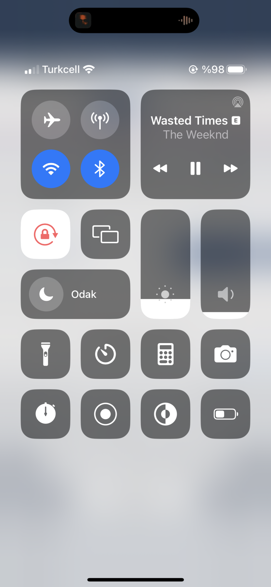A7ACB1D3-6E54-4F6C-AD9C-B5C115A4F78C.png