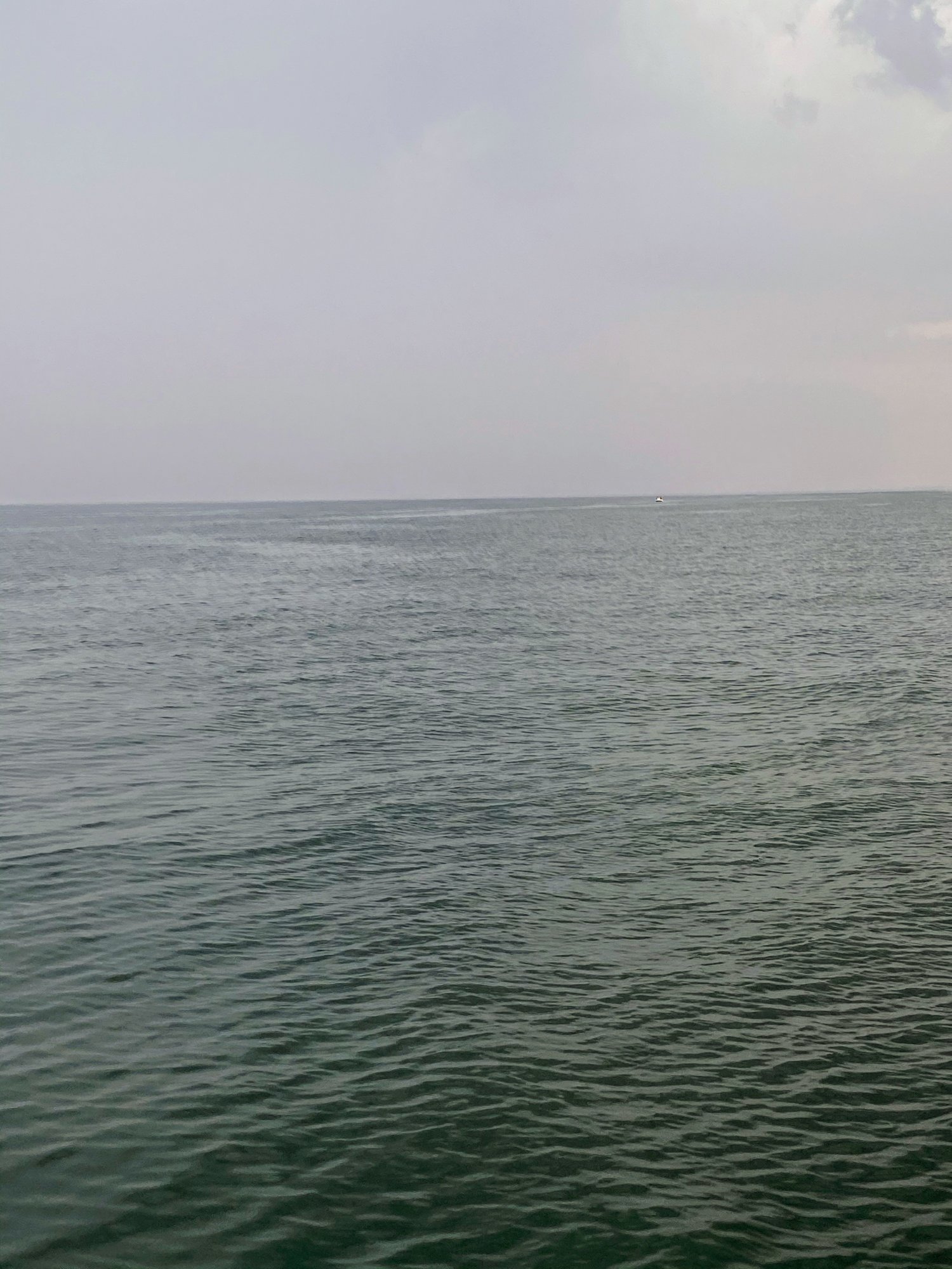 A987574D-A0AE-41DB-9DD9-BDE1F2FBE77F.jpeg