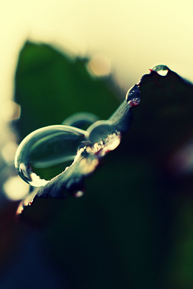 a_rain_drop_by_sunira-d33145i.jpg