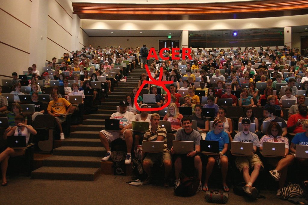 acer.jpg