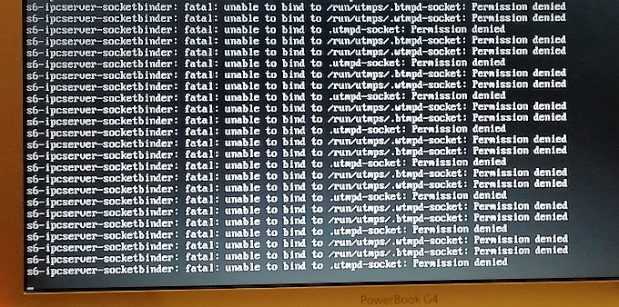 Adélie_first_boot.jpg