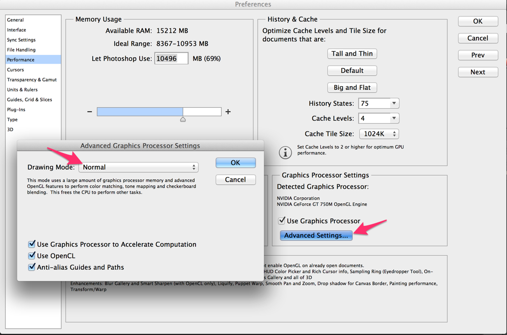 Advanced_Graphics_Processor_Settings_and_Preferences_and_Adobe_Photoshop_CC-3.png