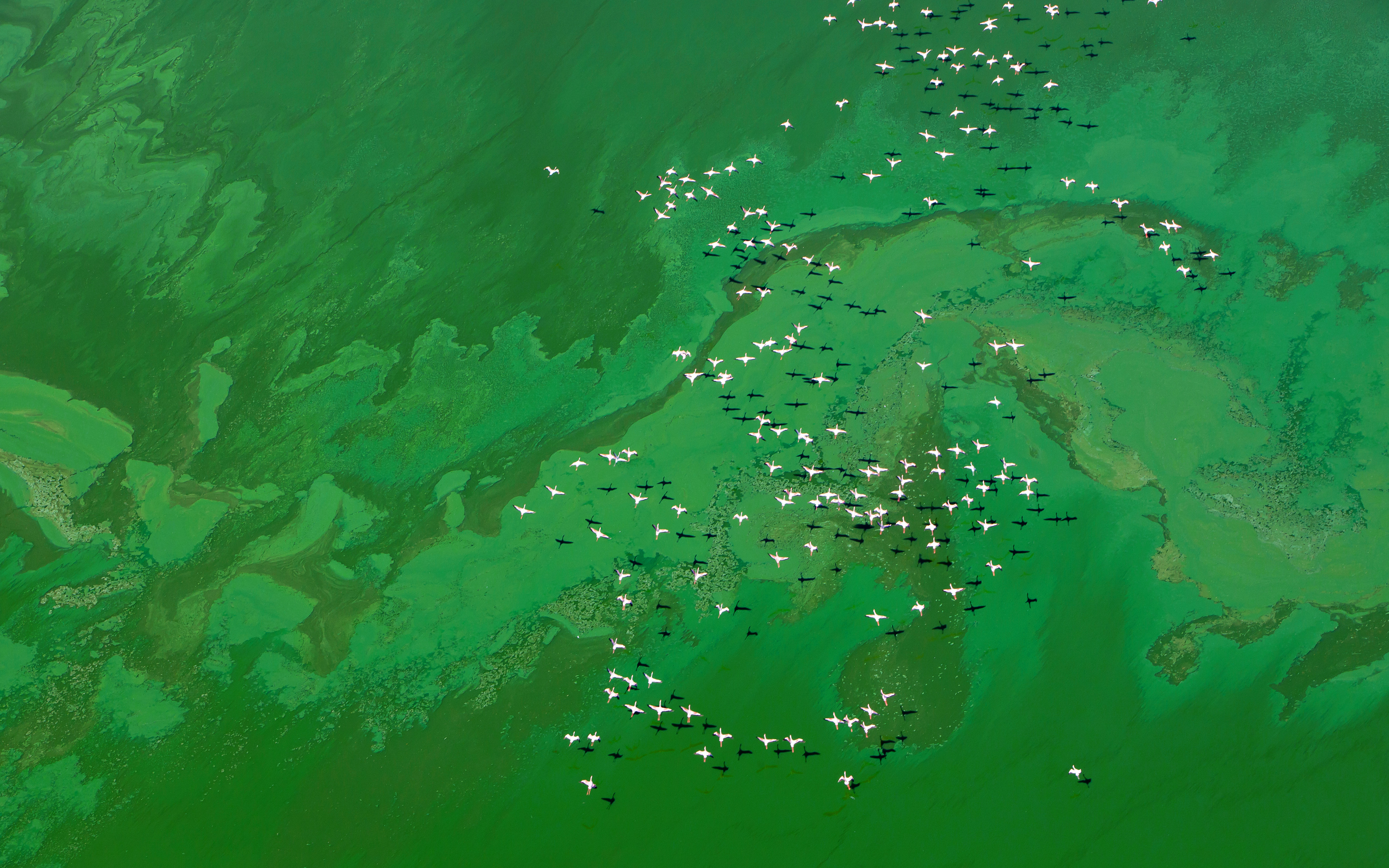 Aerial 01.jpg