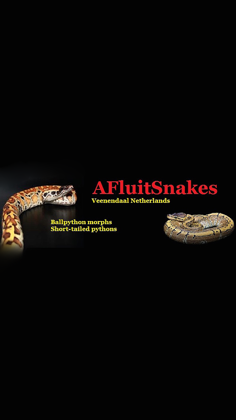 AFruitSnakes.png