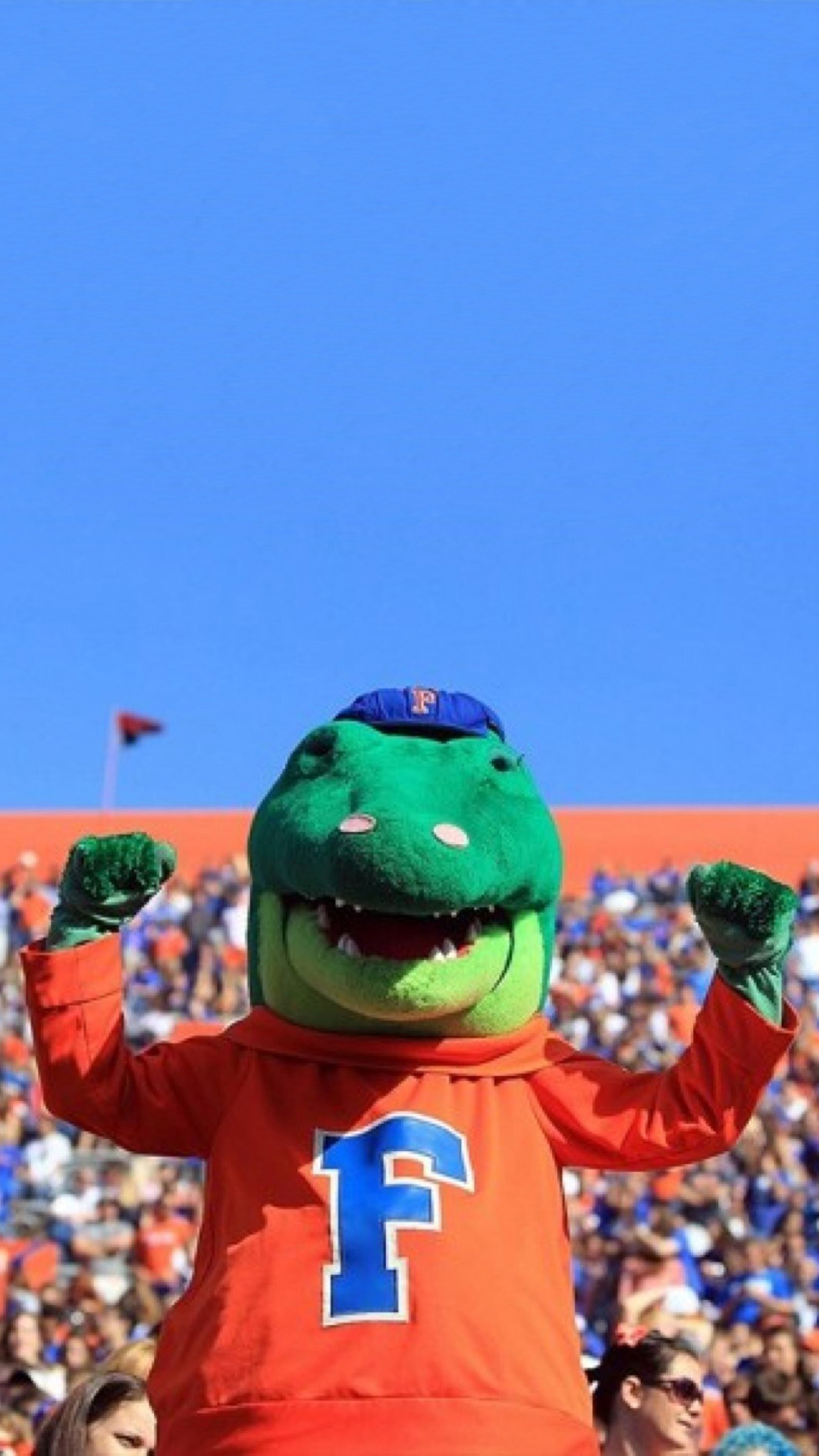 Alligator 01.jpg