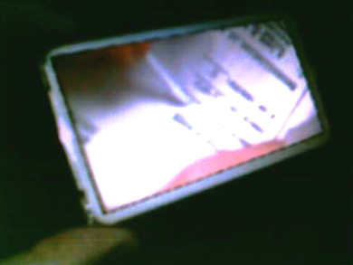 alpha_video_pic-1.jpg