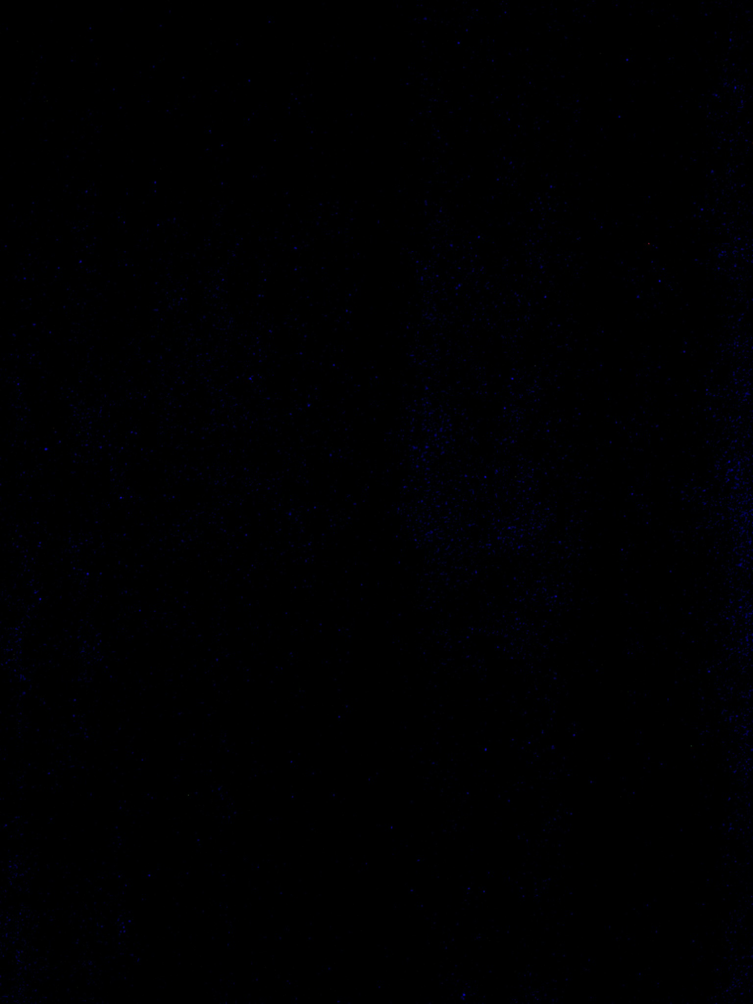 AltMeAn.png
