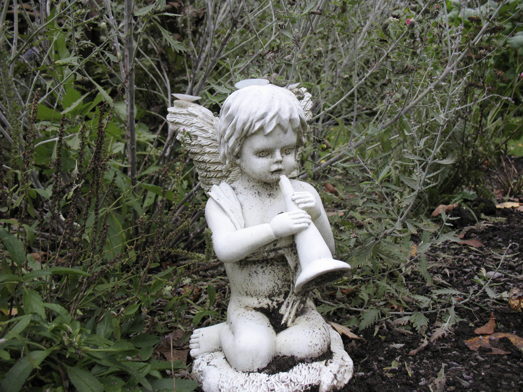 angel in the backyard.jpg