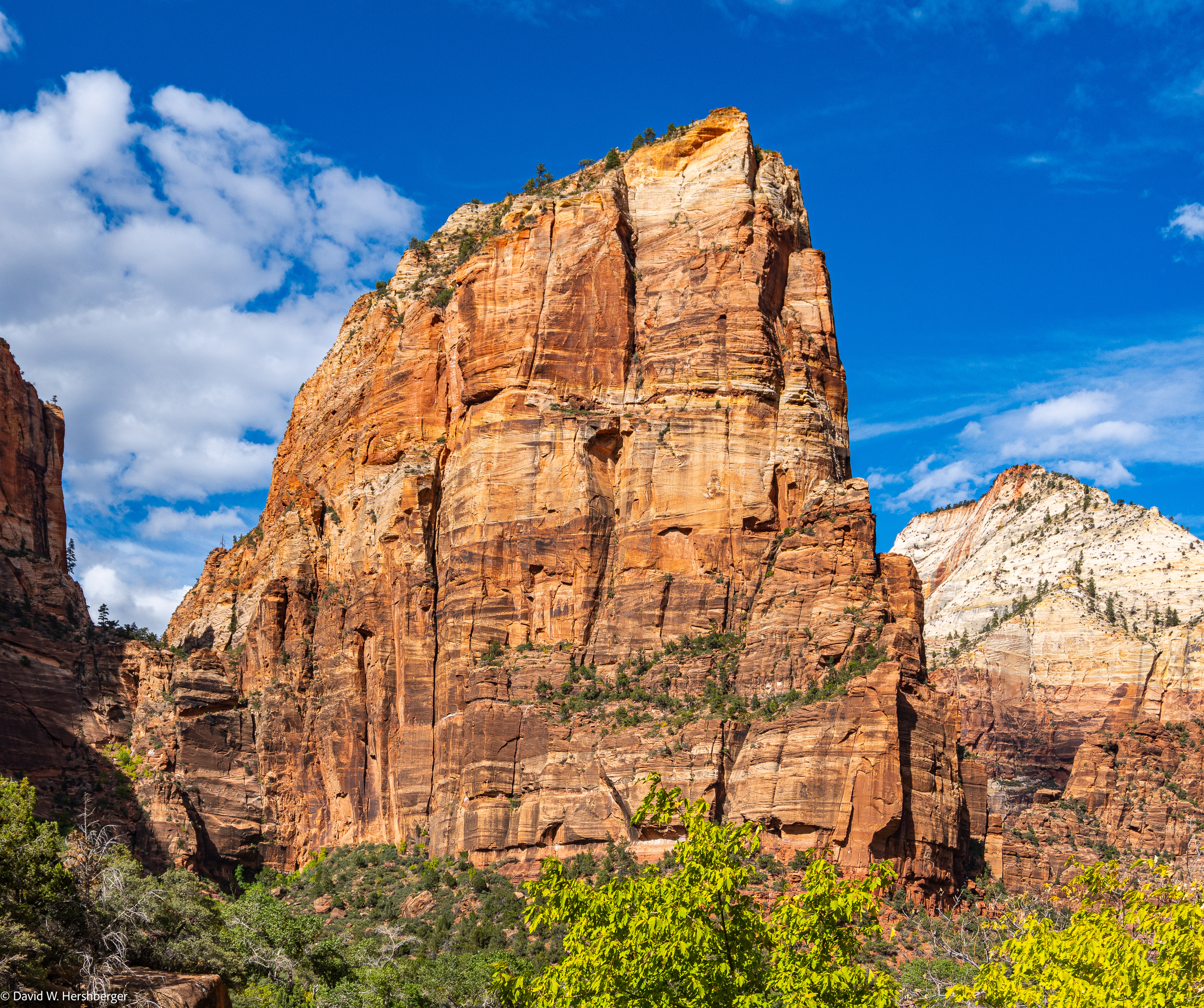 Angels Landing.jpg