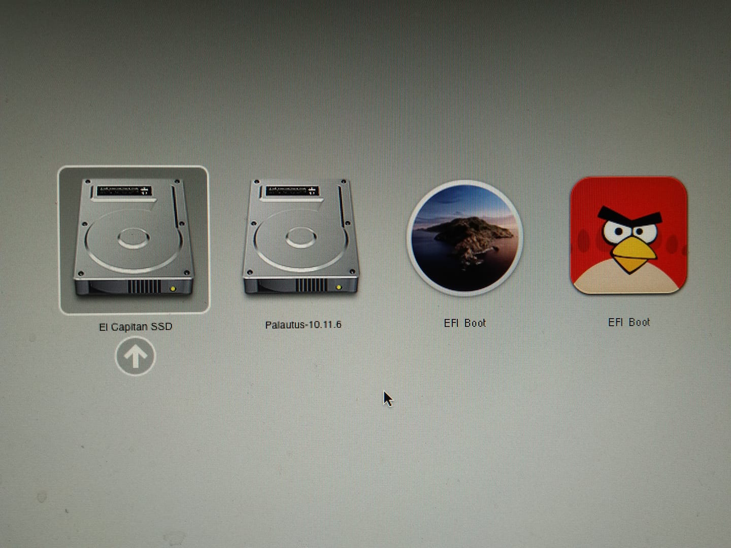 Angry Birds EFI.jpg