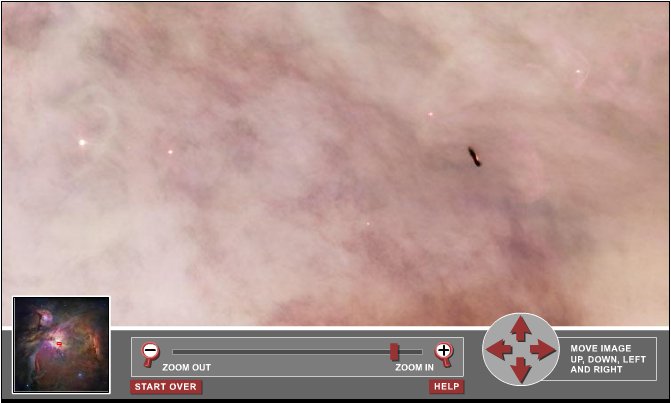 ant.jpg
