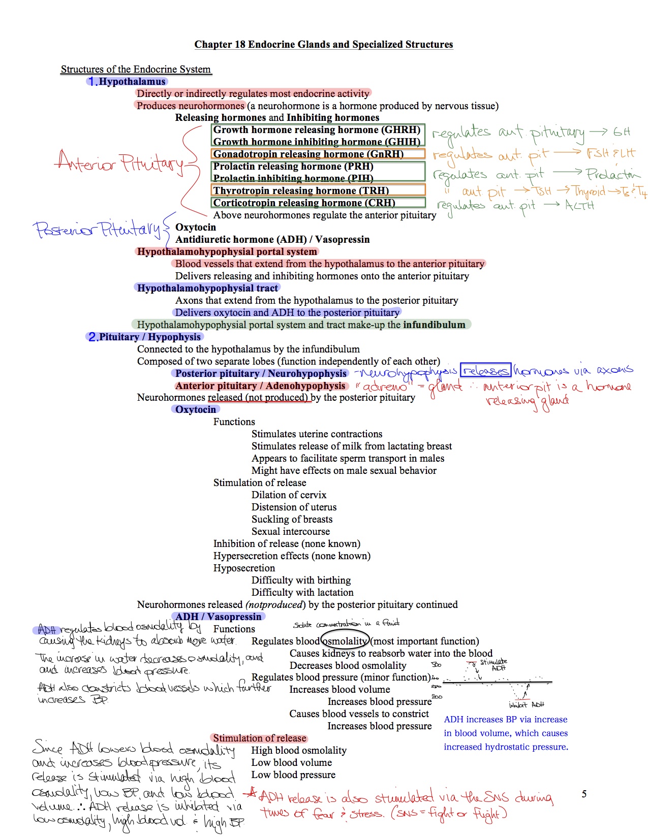 ANT_Lec 2_Endocrine & Structures.jpg