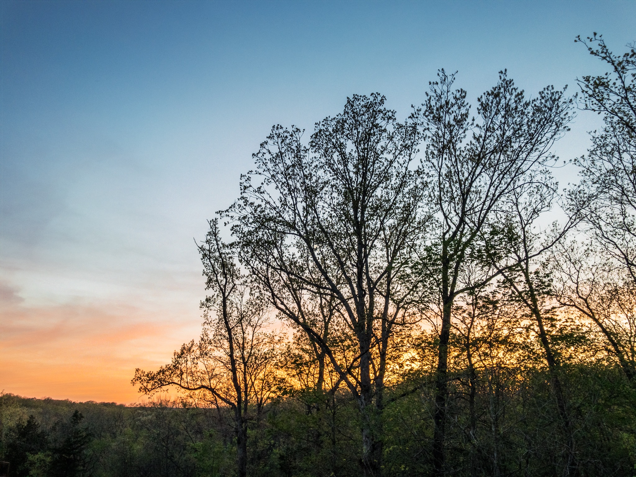 APC_0117-hdr.jpg