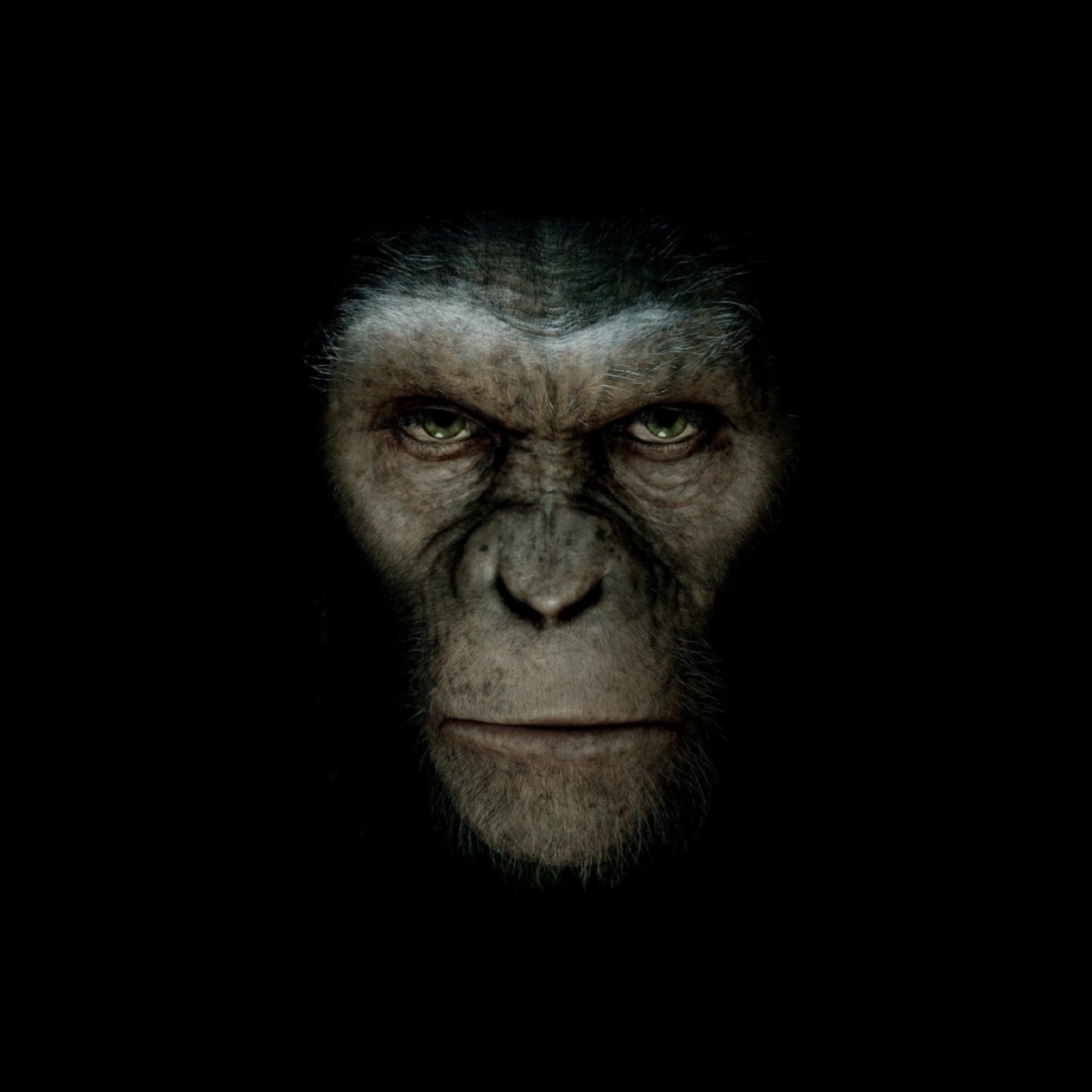 Apes iPad.jpg