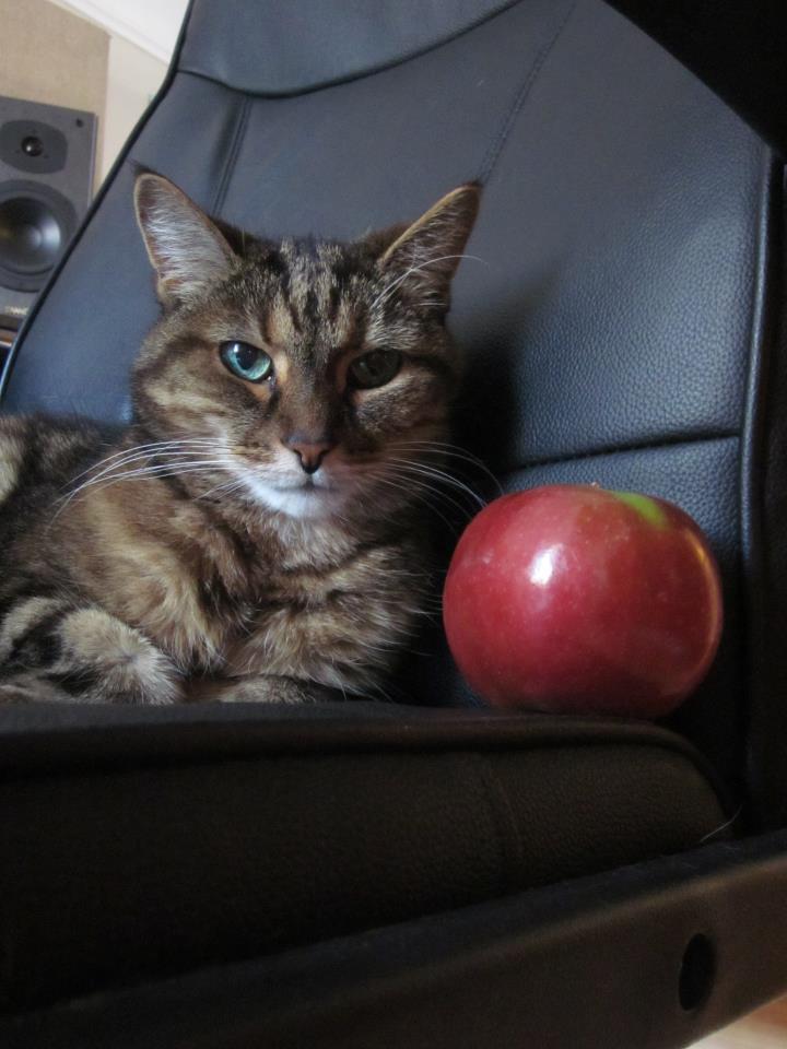 Apple.jpg