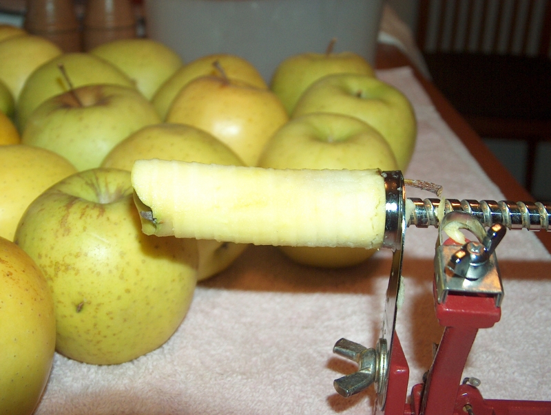 AppleCore-765046.jpg