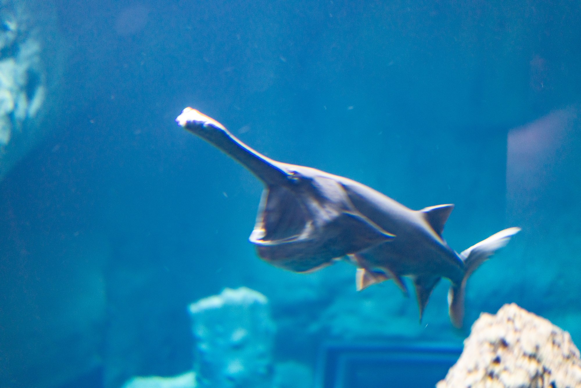 Aquatix - 2500px-15.jpg