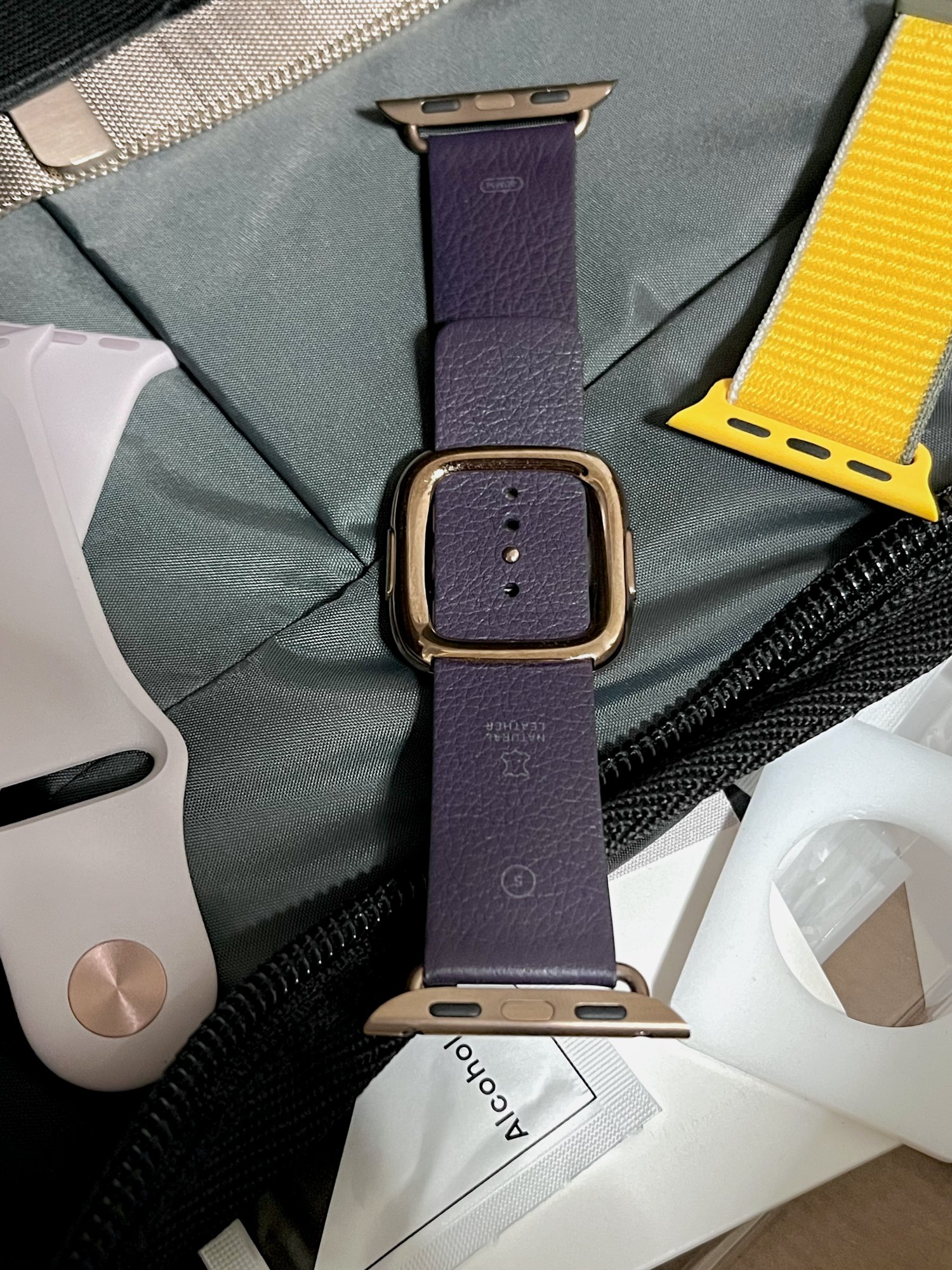 Aubergine8.jpg