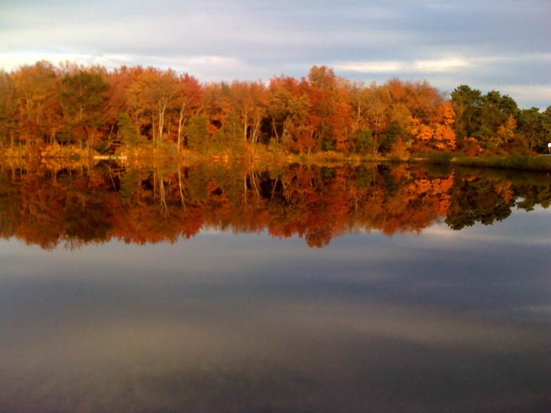 autumn1.jpg