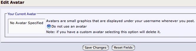avatar.jpg