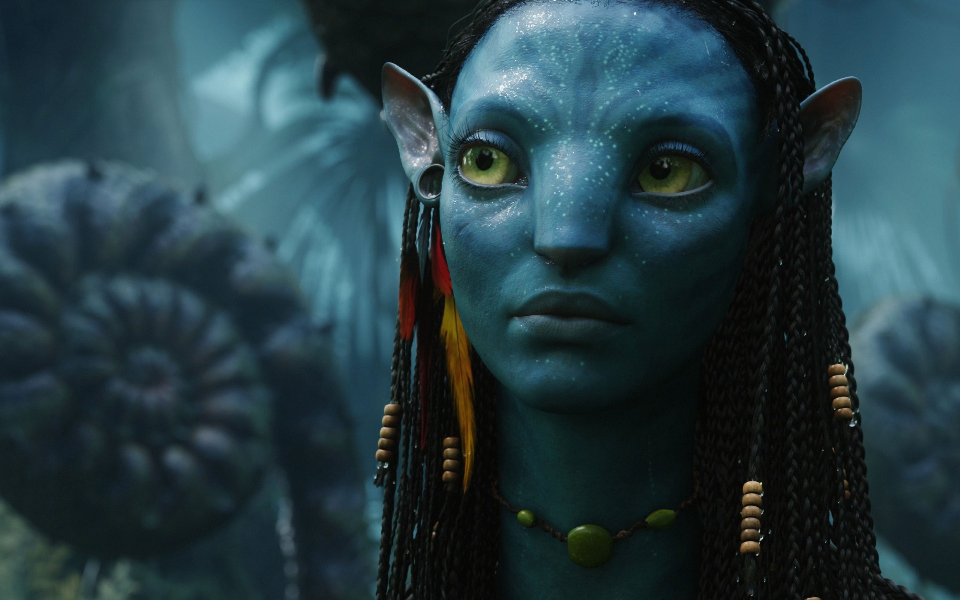 avatar_neytiri_1920_x_1200_widescreen-1920x1200.jpg