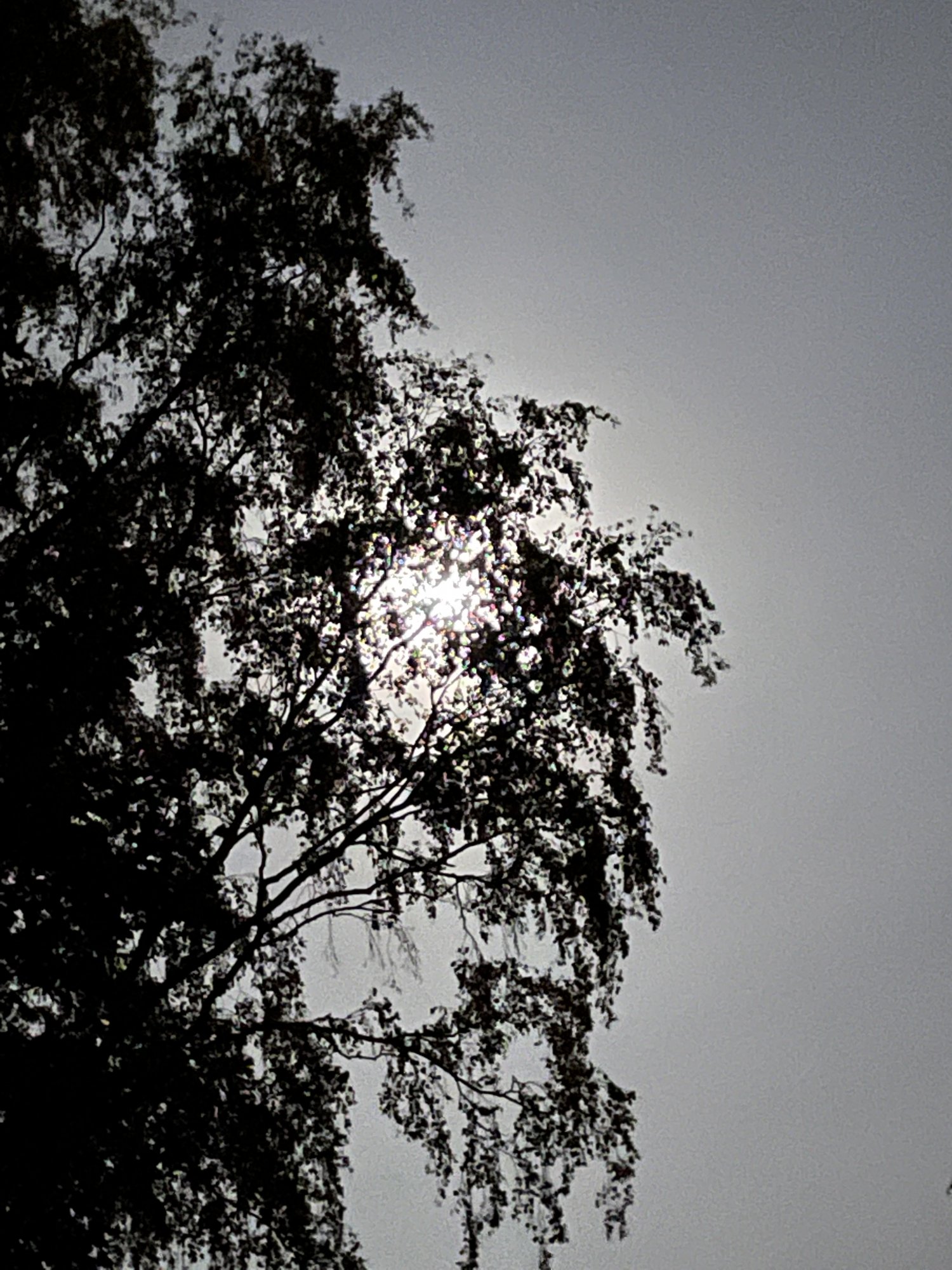 B56A9076-B836-4D0A-830B-62933FF9B45E.jpeg
