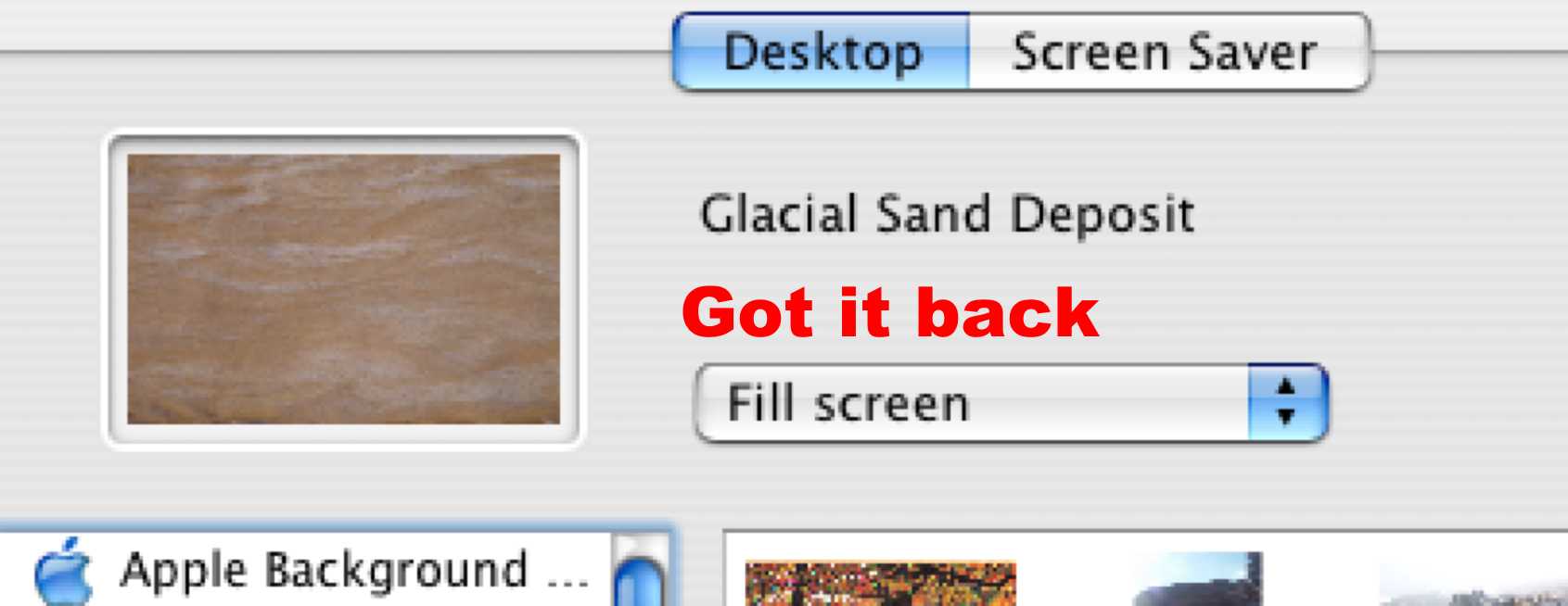 back.jpg
