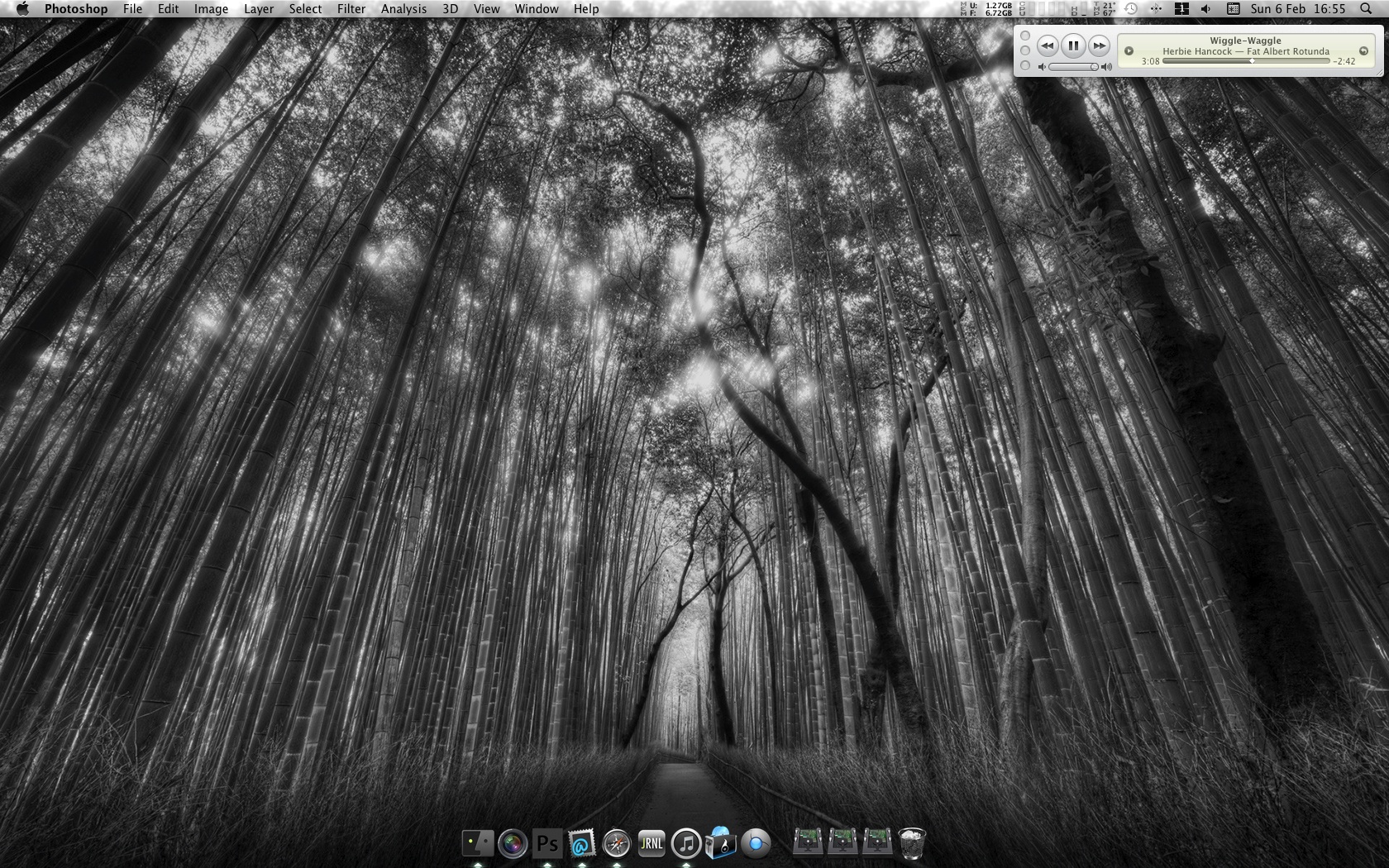 Bamboo.jpg