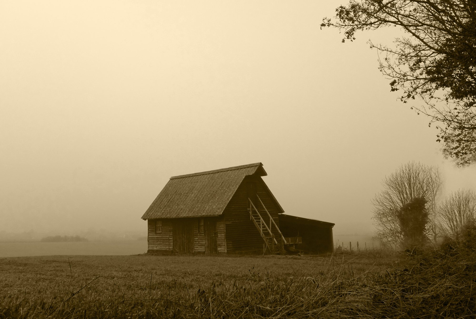 Barn In The Mist.JPG