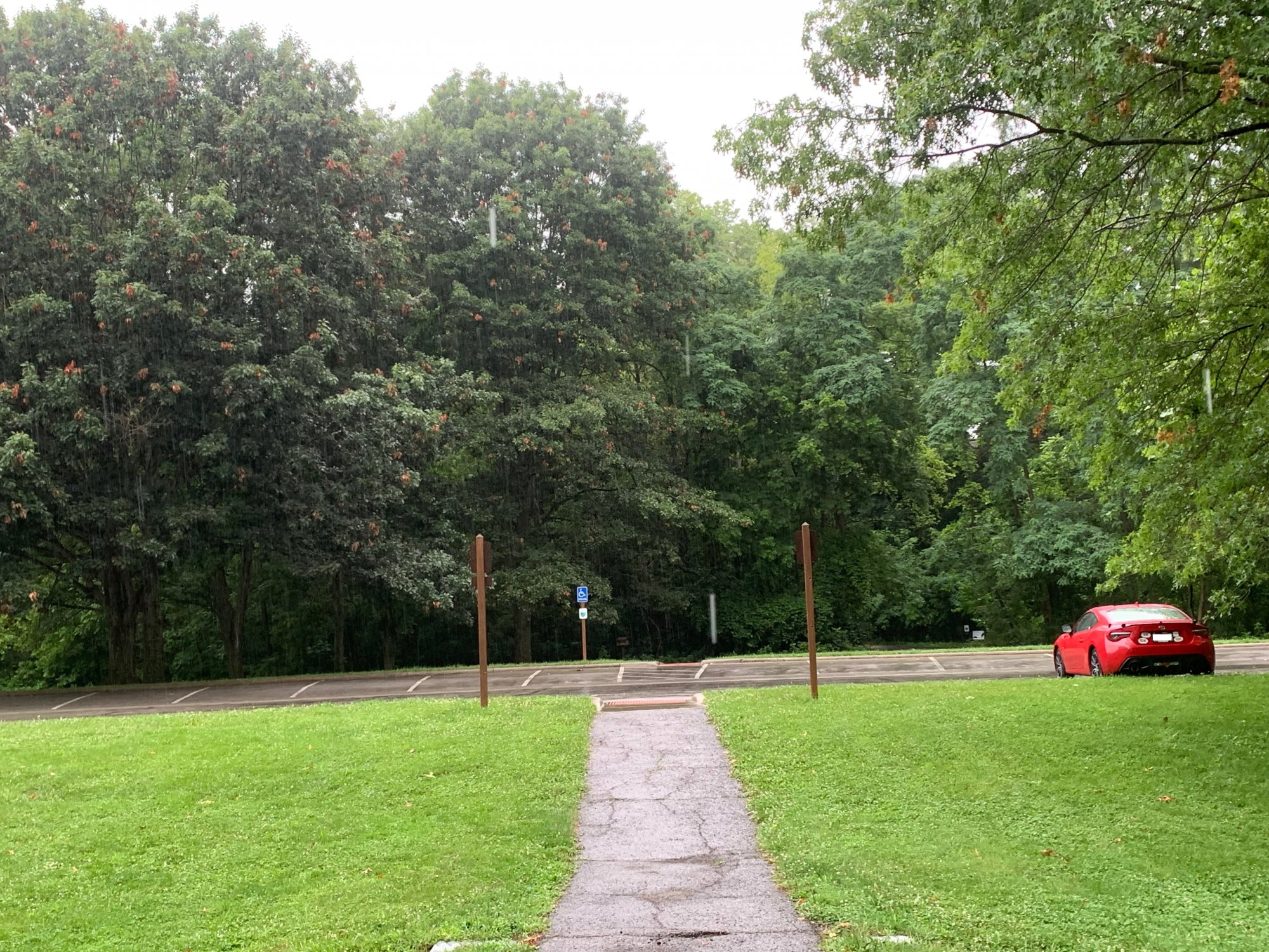Battelle Darby Creek - Trees in far parking lot 2.jpeg
