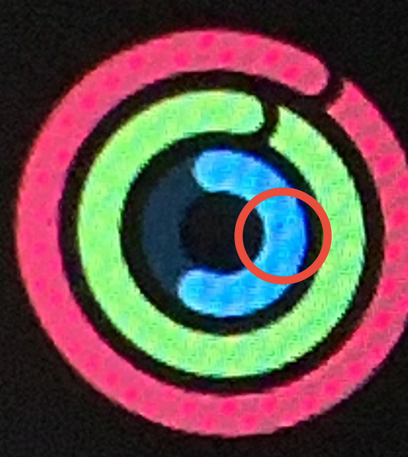BD171219-2A51-4CF0-9DE5-C7D4F54D57CA.jpeg