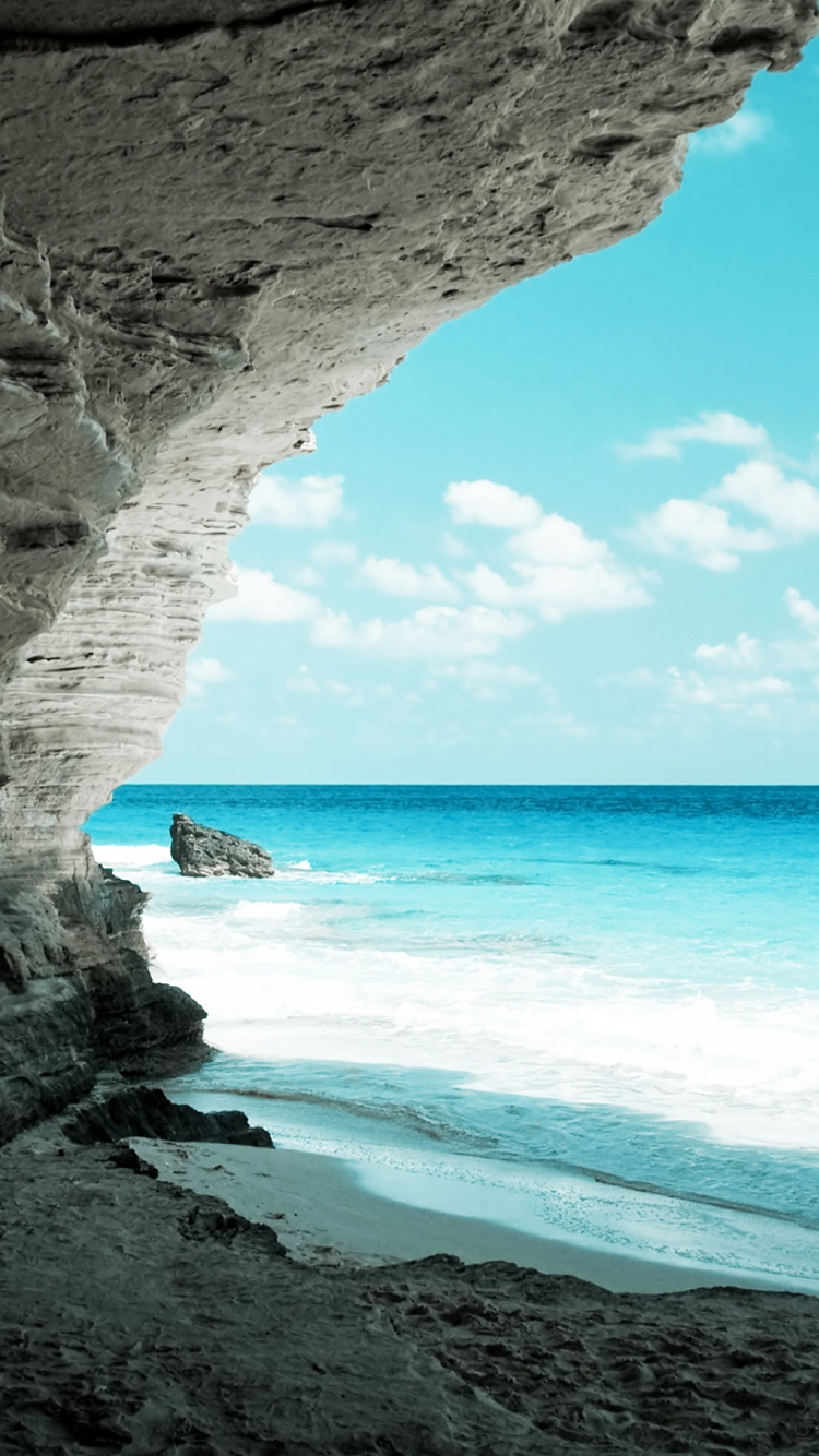 Beach Cove.jpg