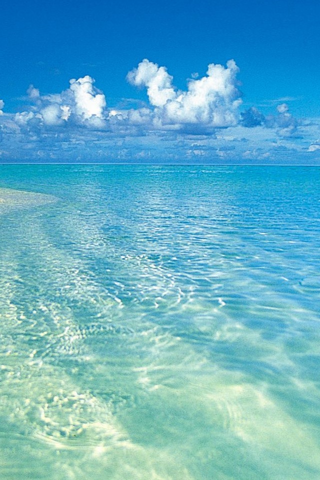 beach.jpg