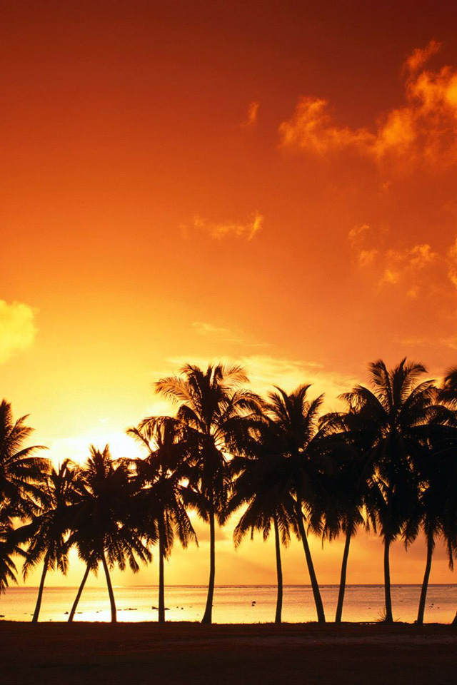Beach view.jpg