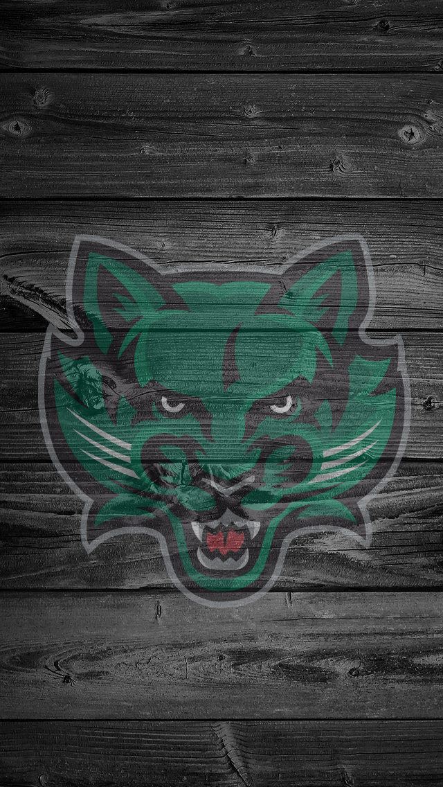 Bearcats.jpg
