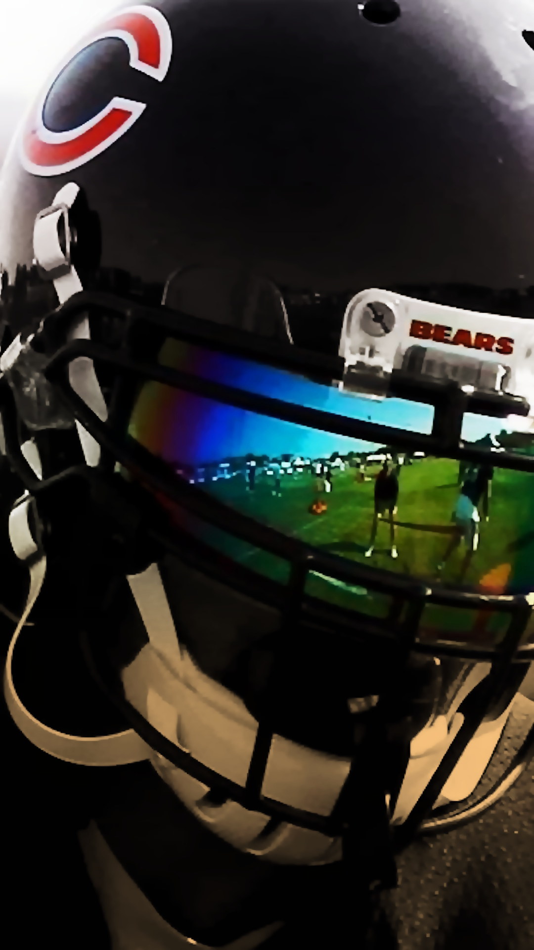 Bears 02.png