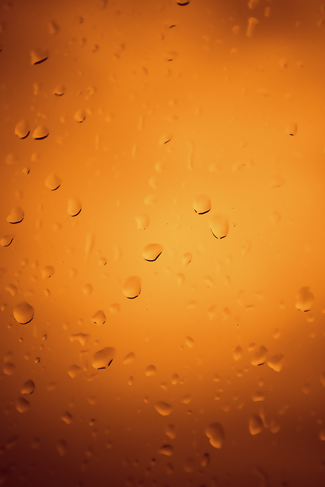 Beer.png