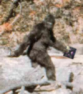 bigfoot copy.jpg