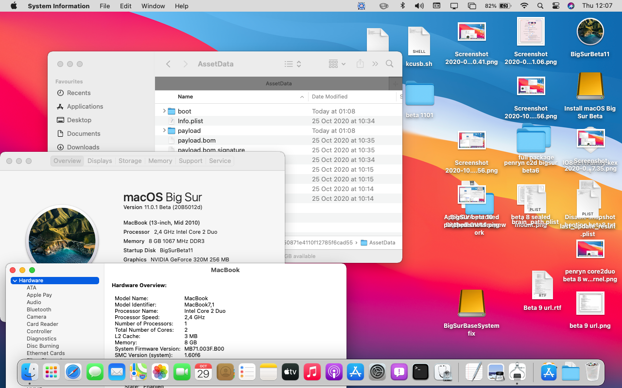 BigSur 11.0.1 beta penryn c2d AssetData update.png