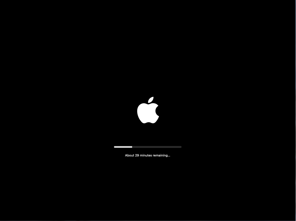 BigSur macOS stage2 installer.png