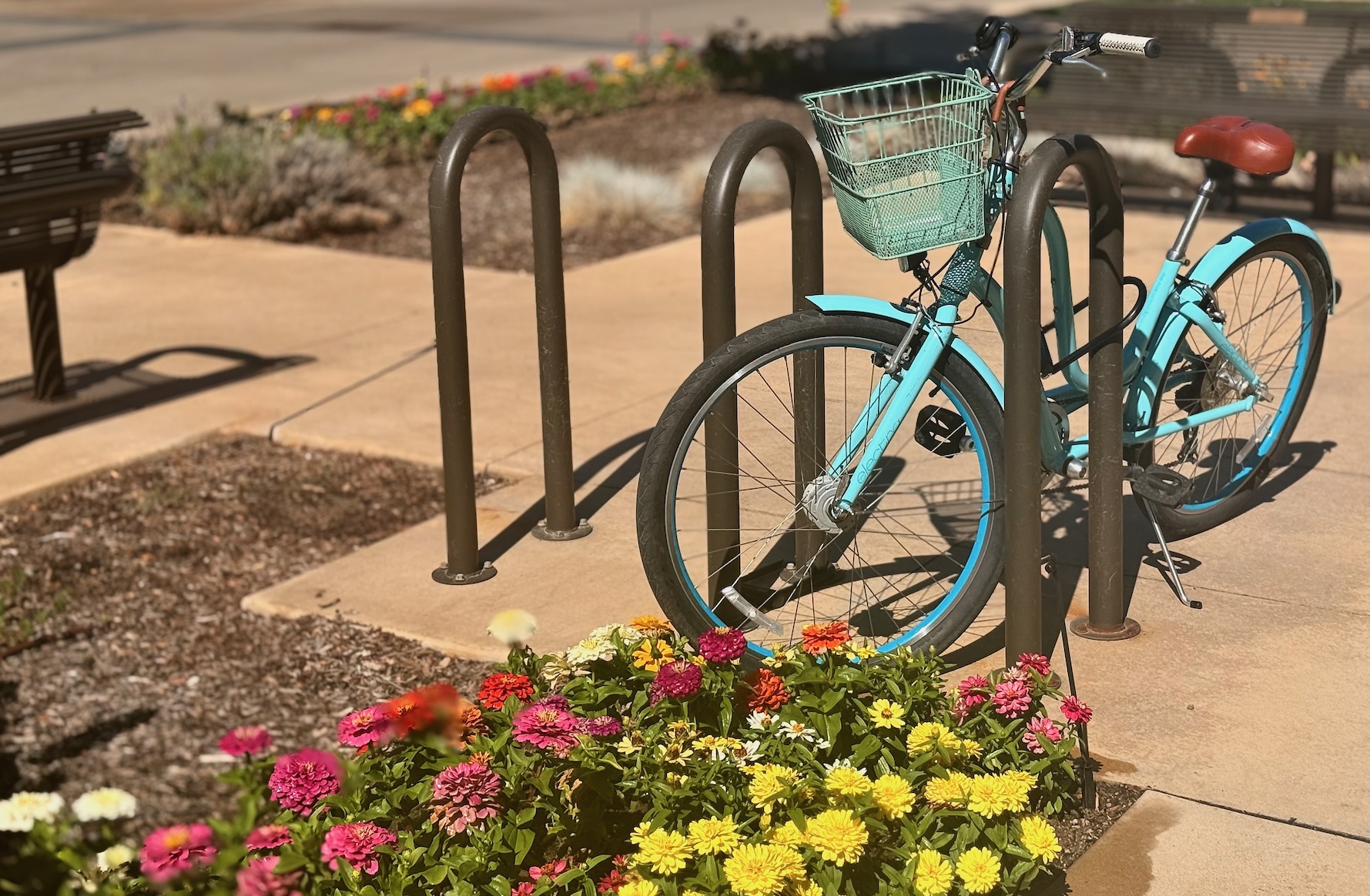 bike - 1.jpeg