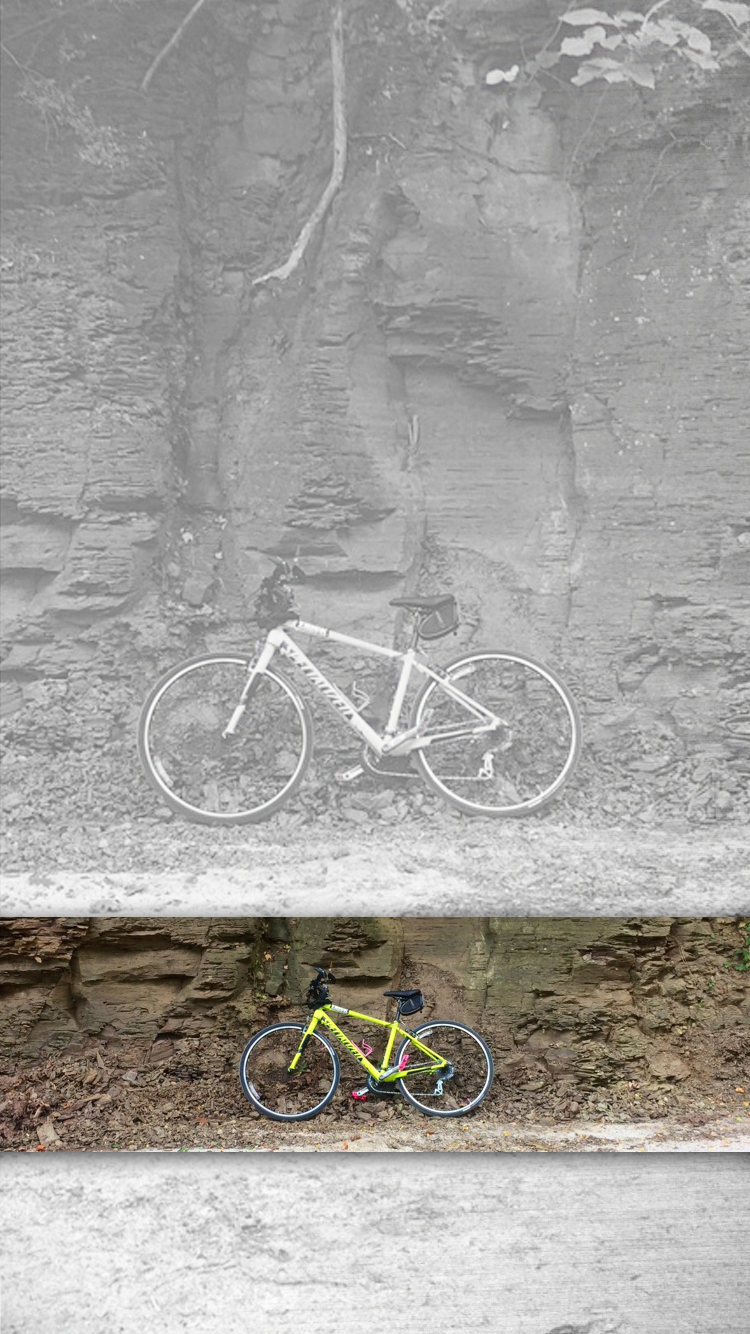 Bike.jpg