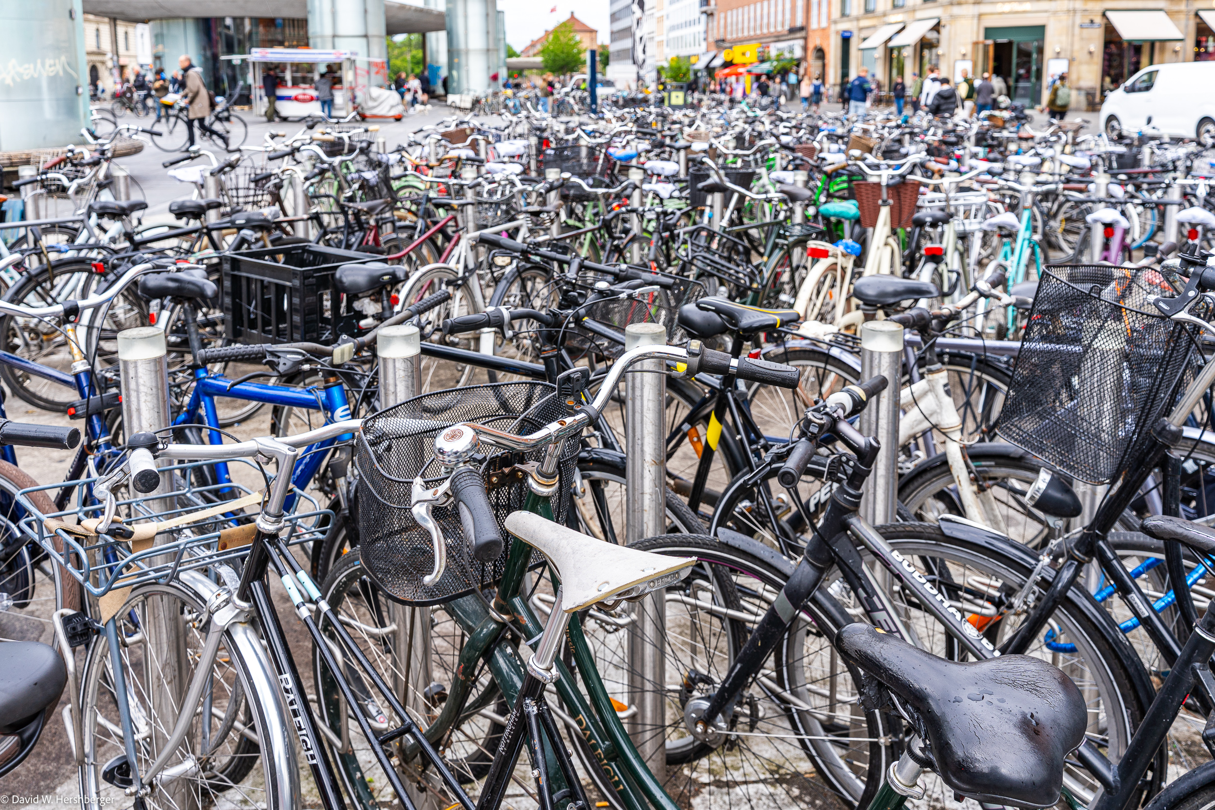 Bikes.jpg
