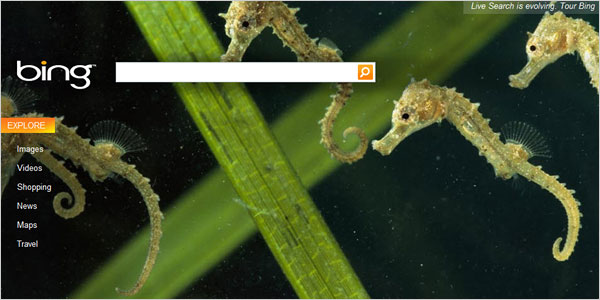 Bing.jpeg
