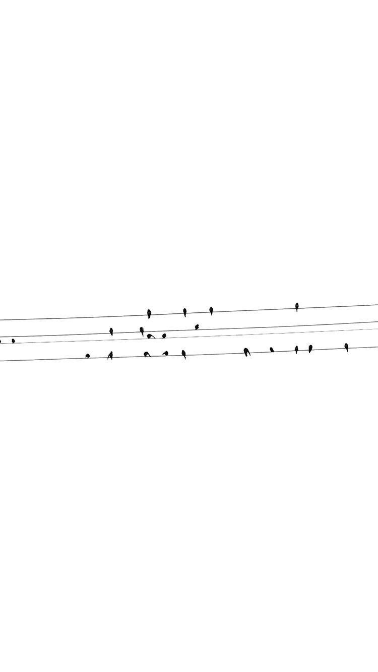birds_minimal.JPG
