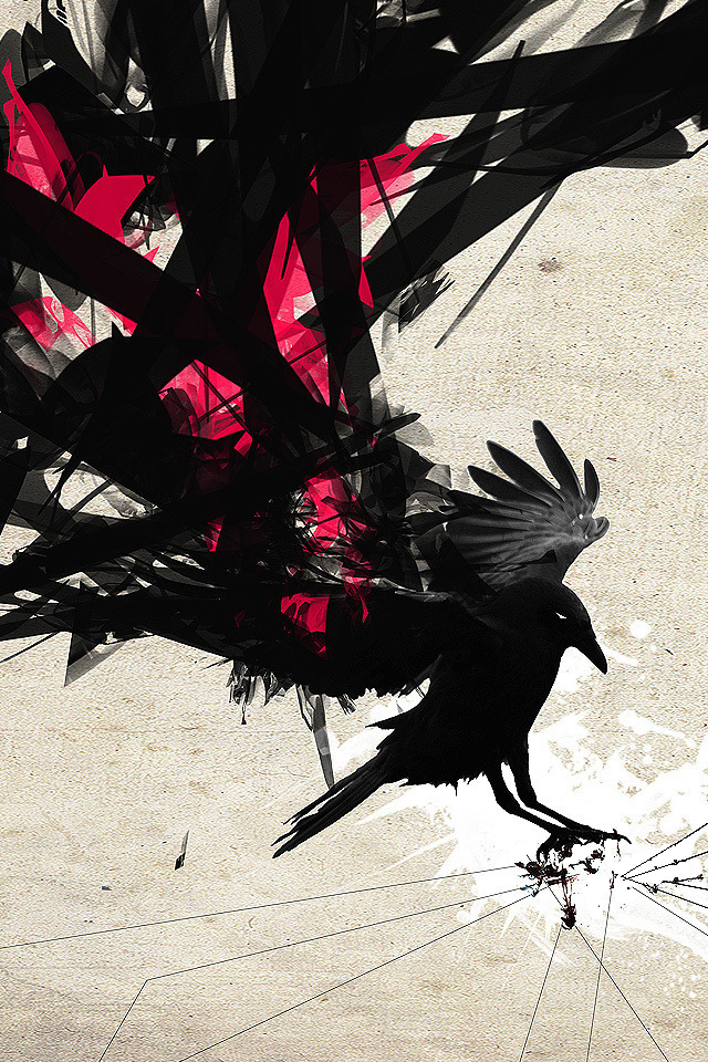 black-bird-vector-wings.jpg