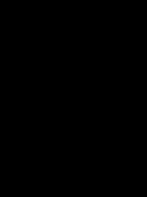 Black.jpeg