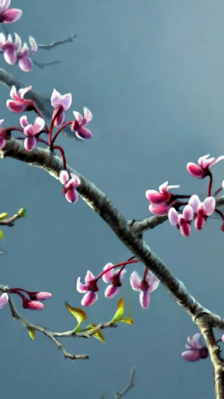 Blossoms.png