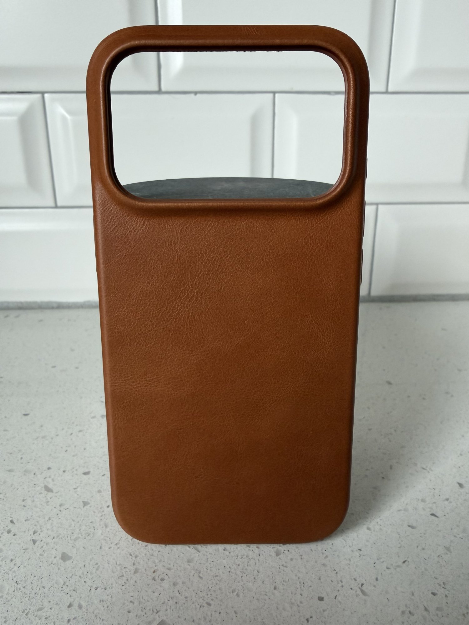 Bluebonnet Day 1.jpg