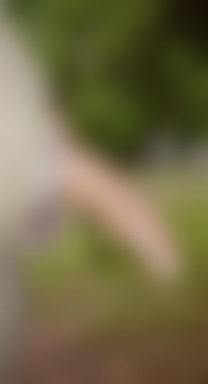 blur30.jpg